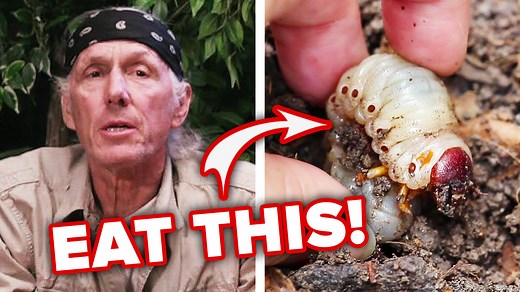 7.5K views | Could you survive in the wild? Survivalist Christopher Nyerges shares his top 5 tips and tricks to surviving if you are stuck in the wilderness. | Human Nature | Facebook