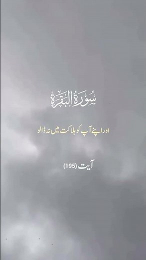 Surah Al-Baqarah - Ayat 195 ✨ #foryou #quranrecitation #quranictranslation