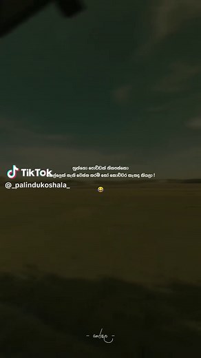 Creative WhatsApp Status Ideas for Every Mood