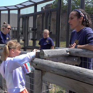 55K views · 2.9K reactions | Happy Zookeeper Week! Help us thank our team for the 24/7, 365 days of animal care  From trainings and food prep to enrichment and conservation work, we have an amazing team! | Milwaukee County Zoo | Facebook