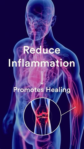 Start with Modex on Instagram: "Fuel Every Cell Taking Modex daily significantly improves blood flow within the first month. This boosts nutrient and oxygen uptake and is essential for your body to function efficiently. To improve health and performance, it’s easy to turn to multivitamins and mineral supplements. However, the critical role of blood flow for nutrient absorption is vital. Modex also works at the cellular level to reduce inflammation, combat oxidative stress, and support faster rec