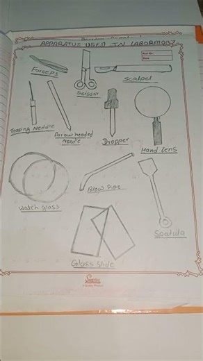 Class 11 practical #practical #experiment #zoology