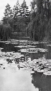 53 reactions | Claude Monet’s Impressionist technique still inspires to this day. Whether it’s his stunning Water Lilies series, or genre-defining Impression, Sunrise, discover what made Monet the master of French 19th-century art in this exuberant exploration of his life and work. Available on taschen.com: ‘Monet. The Triumph of Impressionism’ #Monet #ClaudeMonet #impressionism #TASCHENbooks | TASCHEN | Facebook