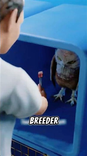 42 Owls Died Because of One Tiny Typo... 😱
