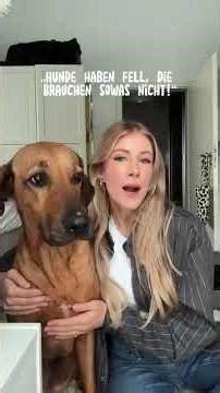 Tipps, wie man seinen Hund im Winter warm hält und worauf man achten sollte: