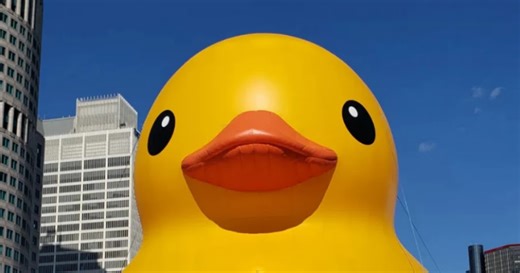 Thousands of rubber ducks take over Cuyahoga Falls Saturday for Ohio Rubber Duck Dash