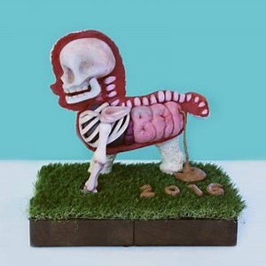 20 reactions | BAA! It's the British Animation Awards tonight and the team here have 3D printed this delightful award for one lucky winner! Best of luck to all nominees!! | Blue Zoo Animation Studio | Facebook