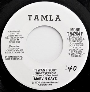 Marvin Gaye - I Want You