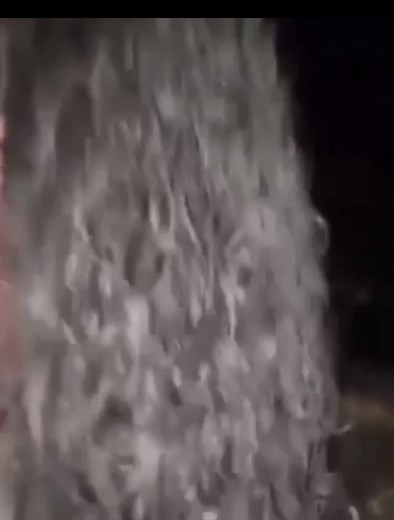 Josuke real #jojo #jjba #jojosbizarreadventure #anime #jojobizarreadventure #jjbafanart #jojomemes #jojoedit