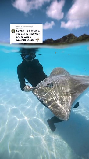 Replying to @Riana Metzger lets talk about udnerwater gear 🤿💫