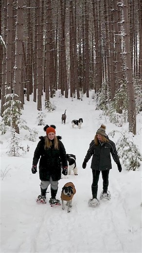 Get ready for winter in Wisconsin with our friends over at Wild Eagle Lodge!❄️ Here, you're guaranteed cozy stays, snowy adventures, and unforgettable memories. Start planning your winter escape today: https://bit.ly/3AV1S8M Wild Eagle Lodge | Discover Wisconsin