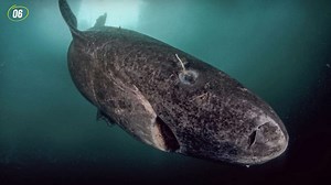 Naturally occurring phenomena that seem scientifically impossible