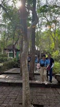 Climbing Toward Phanom Rung Temple, Buriram