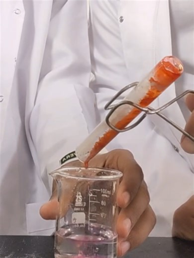 Explore Organic Lab Vibes: Science Experiments Unveiled