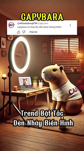 capybara cùng trend tắc đèn nhảy biến hình #capybara #capybaratiktok #funny