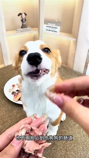 Cute little fur