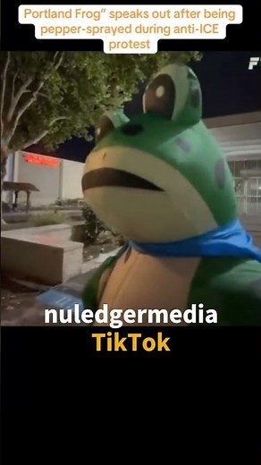 Allegedly ICE Agent Pepper-Sprays Protester Dressed as Frog During Anti-ICE Demonstration
