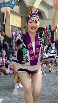 飛鳥連 #阿波おどり #awaodori マロニエまつり