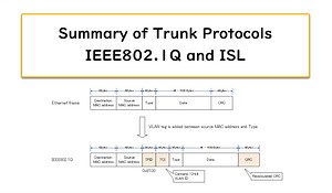 トランクプロトコルのまとめ ～IEEE802.1QとISL～ | ネットワークのおべんきょしませんか？