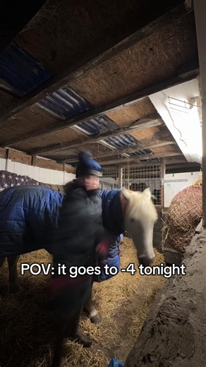 Winter Equestrian Adventures: Embracing the Cold