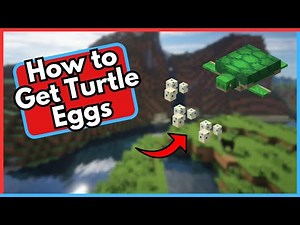 How to Get TURTLE EGGS in Minecraft ✅ 2025 Guide | FIND Turtle Eggs & Hatch Your Own Baby Turtles