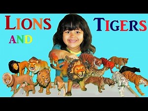 Lions Tigers Cats Schleich Safari Toys My 3 Year Old Daughters Collection Animals ZOO