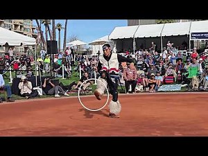 The 35th Annual World Championship Hoop Dance Contest - Mateo