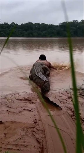 Human-Caiman Hybrid Caught on Tape! 😱🐊 #RiverMonster #Cryptid #Hybrid #FoundFootage #Creepy