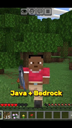 Op Minecraft Public Server For PE + Java
