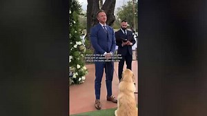 Groom Surprises Bride With Their Dog During Wedding
