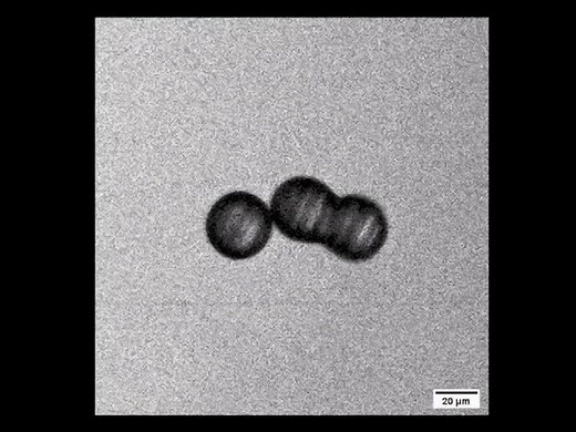 High-Throughput Fabrication of Soft Microrobots