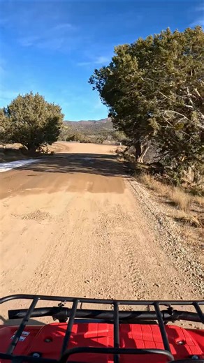 1994 Yamaha Timberwolf Back on the Trails #atv #quads #yamaha #fyp #riding #shorts #trailriding