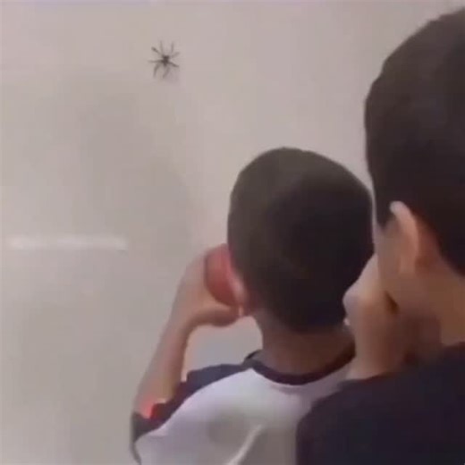 @oybek_editor.1 | #🇯🇵Japan is turning footsteps into electricity! Using piezoelectric tiles, every step you take generates a small amount of energy. Millions... | Instagram