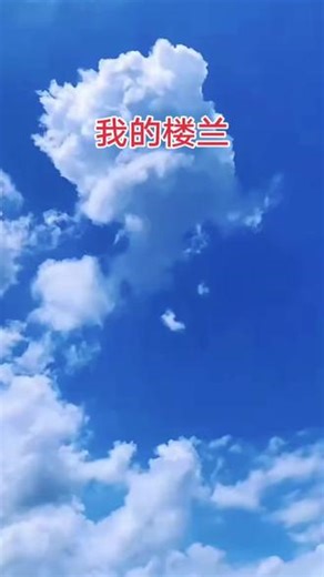 分享音乐，清空，灵动！！！