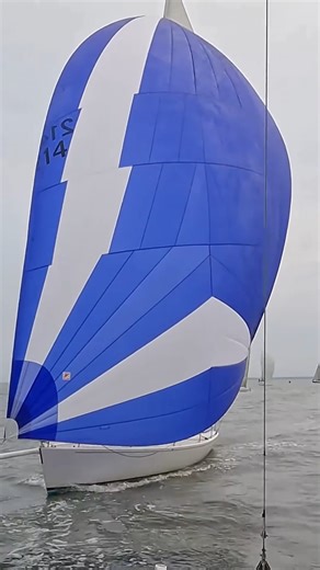 Here they come! 💨 True Blue pressing for 🥇 🎥 Firefly Ryc András Vigh #sailinglife #sailing #racing | Raritan Yacht Club (RYC)