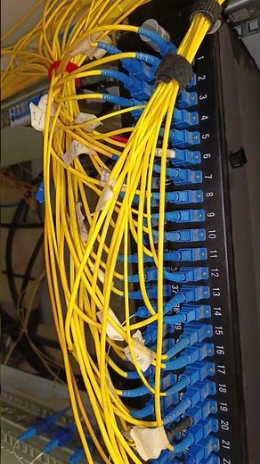 48 core ODF #fiber #odf #fiberoptics
