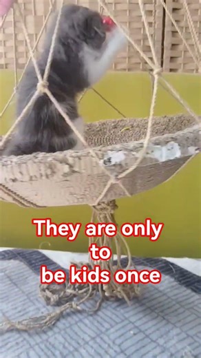 my babyloves pyang and buknoy