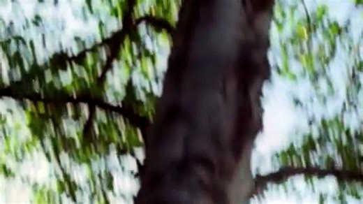 Desperate Housewives Season 1 Episode 18