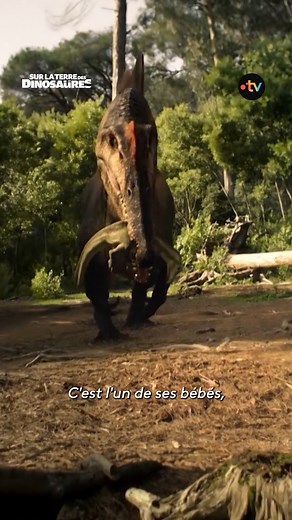 285K views · 3.5K reactions | Le Spinosaure n’est pas seulement un...