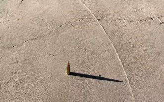 5.56 NATO vs 7.62x39 出人意料的结果