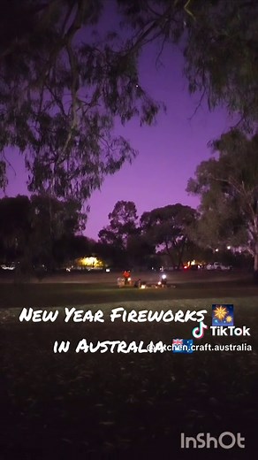they have fireworks for two times ,early at 9 or 9:30 so kids can also enjoy and late at 12 #Australia #foryou #goviralgo #foryoupage #2024 #2025 #newyear #Pakistan #fireworks