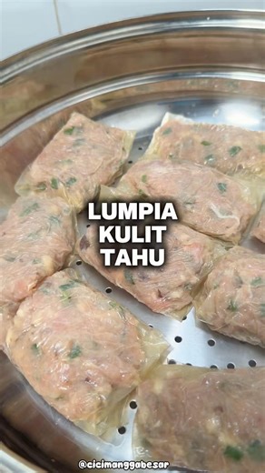 MAKE YOUR OWN TOFU SKIN SPRING PILLA!