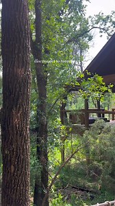 Who's ready to get away and reconnect? | Hackberry Creek Getaways