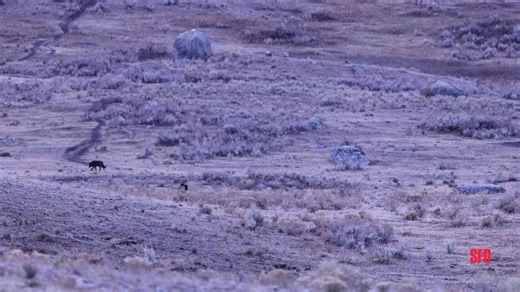 330K views · 1.7K reactions | A man approached and seemingly...