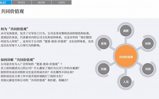 实用思维工具03-麦肯锡7S分析模型(二)元素详解