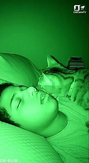 Cat Detects Airway Constriction, Repositions Head to Restore Breathing | CCTV Medical Alert #Shorts