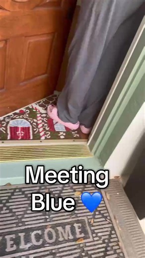 Adopting Blue Lotus: A Heartwarming Adoption Story