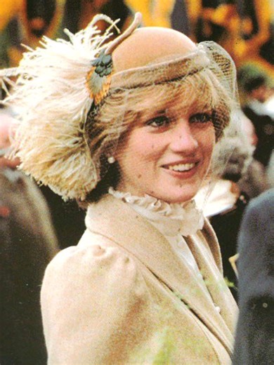 Diana is not imitated💋❤️ #ThePeoplesPrincess #IconicPose #90sFashion #PrincessDiana #queenofhearts