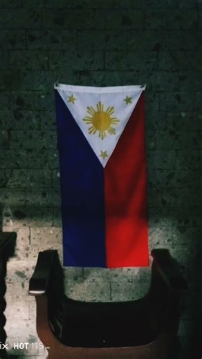 My flags in my collection.