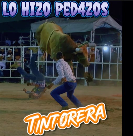 ! Lo Hizo Ped4zos La Tintorera De Rancho La Candelaria - FFF Nieto Del Guerrero Azteca ! | La camara viajera del jaripeo